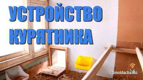 картинка для поста Из чего лучше сделать полы в курятнике