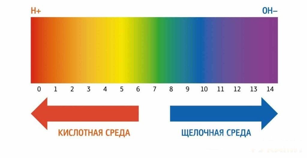 Как выбрать батарею отопления