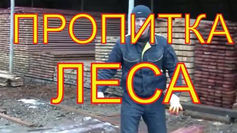 картинка для поста Сенеж своими руками